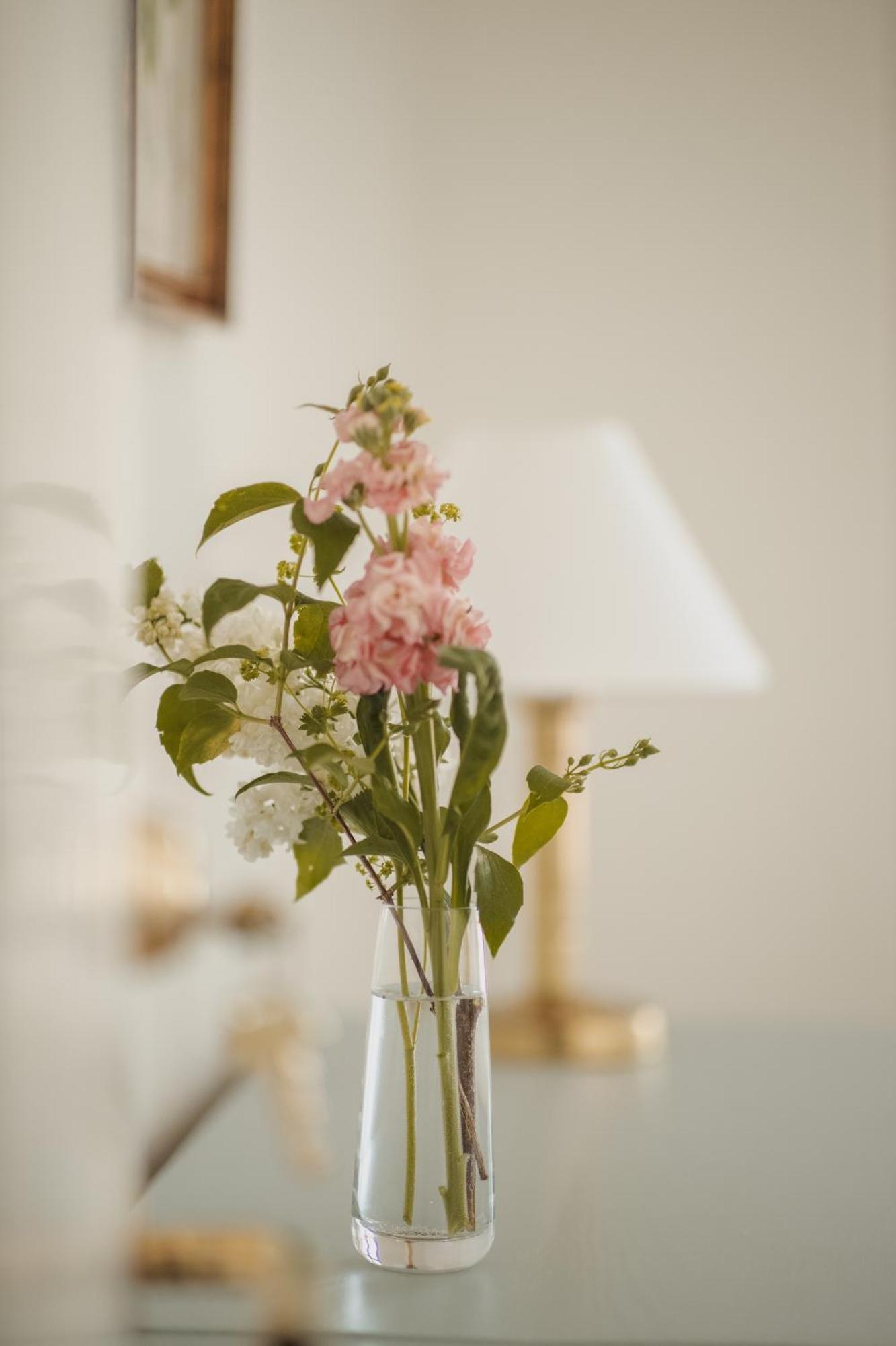 Gundershoj Bed & Breakfast Ebberup Extérieur photo